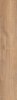 Epicentr Newcastle Gold 19,8x120